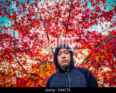 Low angle view of young Asian man in black hoodie standing against tree with red leaves in autumn. Autumn leaf color. Stock Photo