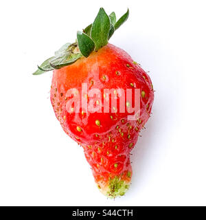 Wonky Strawberry On A White Background - Organic fruit Stock Photo
