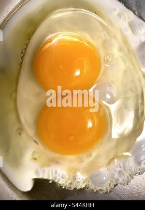 An organic, pasture-raised chicken egg with two yolks. Stock Photo