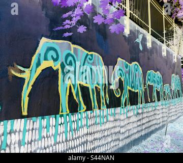 Colourful elephant street art by local artist Christopher Griffin. Stock Photo