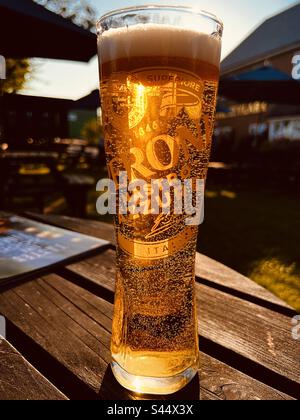 A pint glass of Peroni beer on a bar in a pub Stock Photo - Alamy