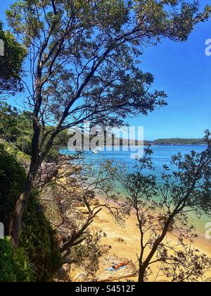 Sydney harbour Australia on the path from clontaf to manly - harbour beach view Stock Photo