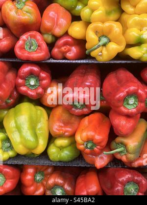 Yellow and red peppers at the supermarket Stock Photo