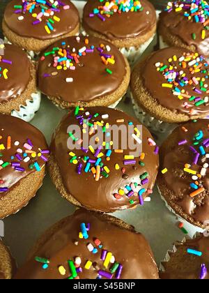 Chocolate cupcakes with rainbow sprinkles Stock Photo