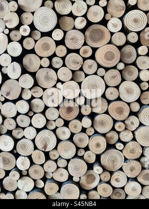 Pattern of circles made from the cross sections of small trees. Stock Photo