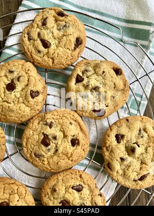 Chocolate chip cookies on a wire cooking rack Stock Photo