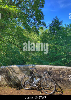 Pace RC200 F5 Mountain Bike on a bridge in the Yorkshire Dales Stock Photo