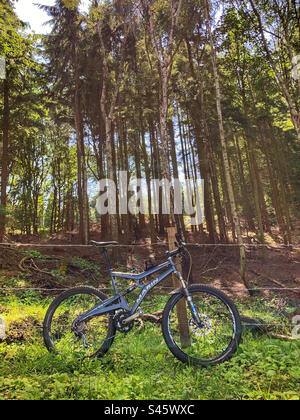 Marin Mount Vision Mountain Bike in the woods Stock Photo