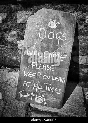 ‘Dogs Welcome’ a handwritten sign invites dogs and their owners inside… as long as they are on a lead at all times. (Black & White) Stock Photo