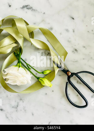 Still life photo of white rose flower and buds, green ribbon, and vintage shears on marble background. Stock Photo