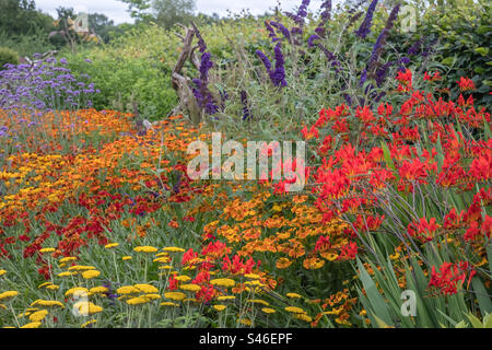 Brightly coloured flowers in a summer garden Stock Photo