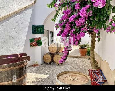 A white painted courtyard with Bougainvillea tree and oak barrels Stock Photo