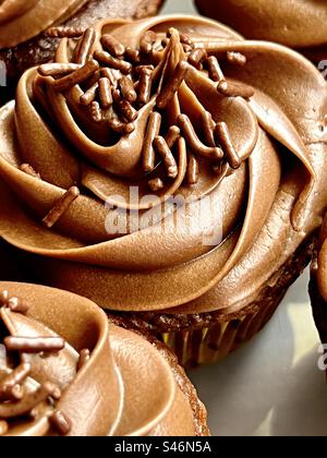 Chocolate cupcakes with chocolate sprinkles Stock Photo