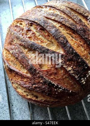 Freshly baked sourdough bread Stock Photo