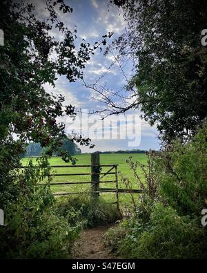 View of field, through gap in hedge and gate. Stock Photo