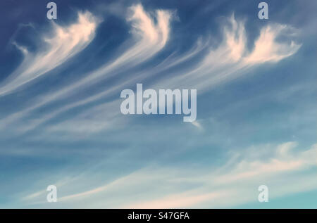 Mares’ tails of pretty, wispy cirrus uncinus clouds in bright blue sky in Victoria, Australia. Stock Photo