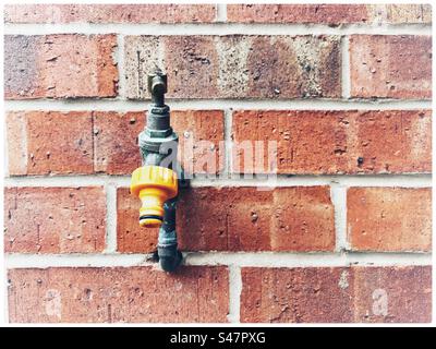 Outside garden tap with yellow plastic hose fitting mounted on weathered plain brick wall. Stock Photo