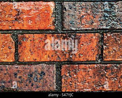 Close-up of old, weathered, wet brick wall. Abstract. Full frame backgrounds. Pattern. Texture. Rain water. Stock Photo