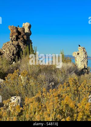 Distinctive tufa (limestone) towers of Mono Lake in central California. Stock Photo