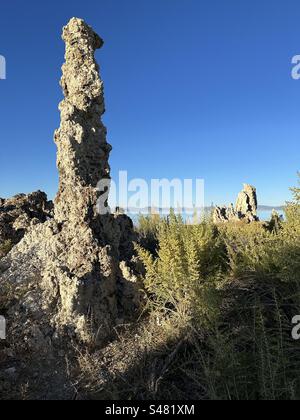 Distinctive tufa (limestone) towers of Mono Lake in central California formed around springs at the bottom of the lake over decades or even centuries and were revealed as water levels fell. Stock Photo