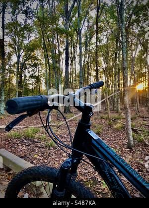 A black bike on a paced path in a vibrant green forest in front of a sunset. The sun is shining through the trees and the ground is covered in dead leaves. Stock Photo