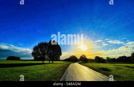 A country Road looking towards the sun on an autumn morning with trees on either side Stock Photo