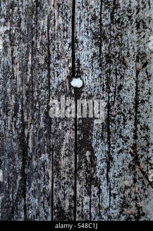 Closeup of weather worn deck wood with nail Stock Photo