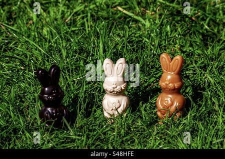 Three Easter bunny chocolate treats. Different colors, black, white and brown. Outdoors on lawn grass in the garden in spring. Stock Photo