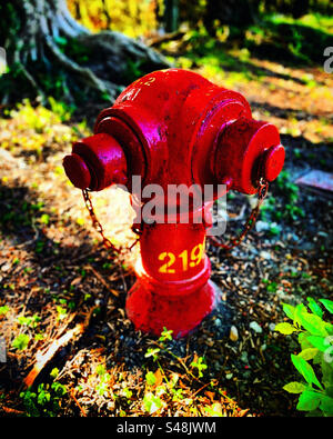 hong kong fire hydrant in red color outside along the street road on grass made from solid steel metal ready to be used by fireman or firetruck Stock Photo
