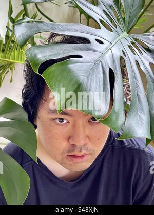 Portrait of young Asian man framed by houseplants. Stock Photo