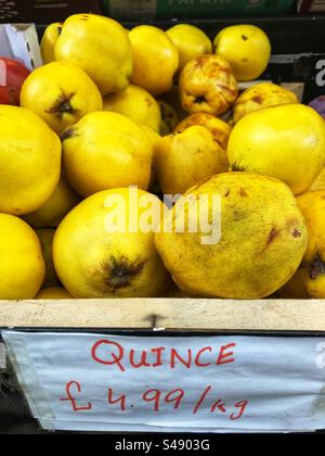 Quince priced up for sale at Grocers shop - Cydonia oblonga Stock Photo