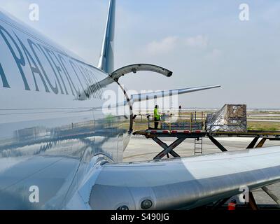 Cargo loading onto Cathay Cargo Boeing 747-800. Stock Photo