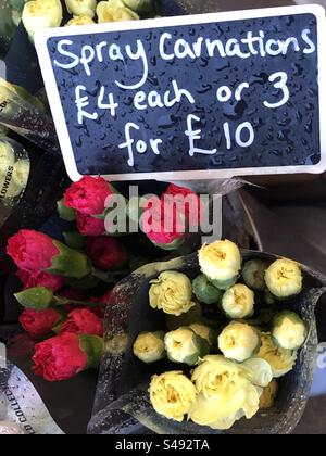 Spray carnations priced up for sale at Florist Stock Photo
