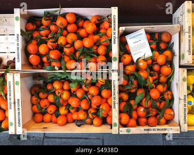 Ripe Christmas clementines priced up for sale at local grocery store Stock Photo