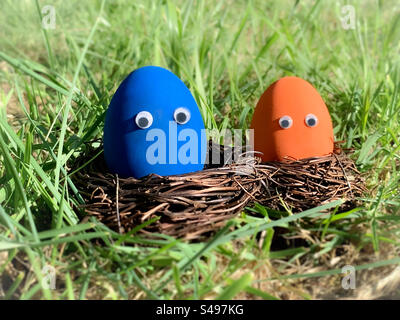 Colourful eggs sitting in nests with googly eyes Stock Photo