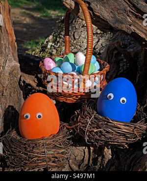 A basket of chocolate eggs with googly eyed eggs in nests Stock Photo