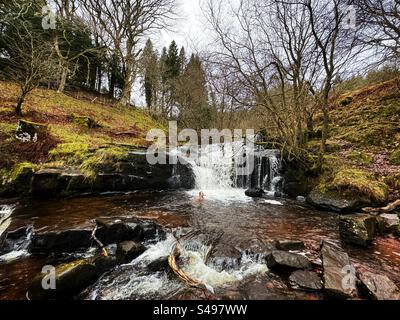 Waterfall on the Caerfanell river, Blaen y Glyn, Brecon Beacons (Bannau Brycheniog) with a young woman enjoying a wild swim in December. Stock Photo