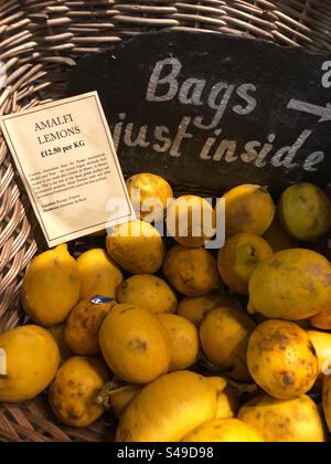 Amalfi lemons priced up for sale at Grocers shop, citrus x limon Stock Photo