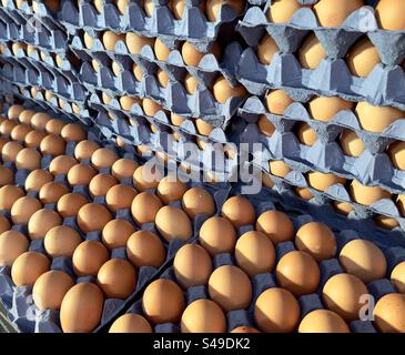 Hen eggs resting in blue Papier mache trays for sale in a Worcestershire farm shop Stock Photo
