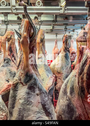 Raw meat hanging in butchers cold store Stock Photo