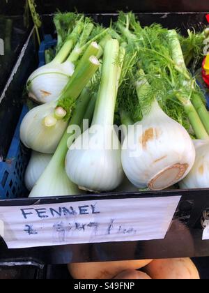 Fennel bulbs priced up for sale at grocery shop Stock Photo