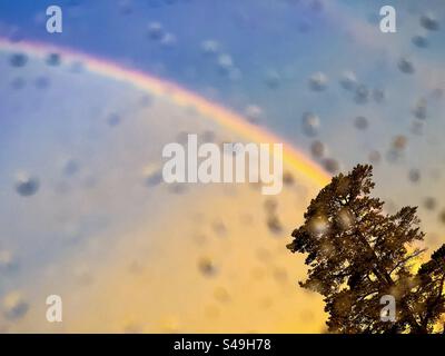 Window view of rainbow in sunset sky above a tree seen through raindrops on wet window glass. Scenics-nature. Stock Photo