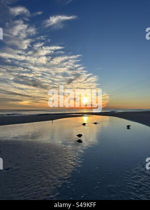 Sunset on the beach with reflections and bird silhouette at Henderson Beach State Park Destin, Florida Stock Photo