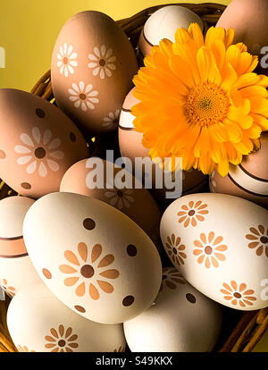 Decorated Easter eggs with a yellow pot marigold in a basket Stock Photo