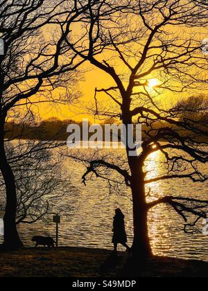Walking dog by Rivington reservoir backlit by the late afternoon winter sun. Rivington near Chorley in Lancashire. Stock Photo