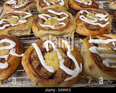 Norwegian sonboller, skoleboller, sun buns, or sunshine buns are made of a cardamom dough which is rolled with cinnamon and sugar, and the center filled with egg custard. Stock Photo