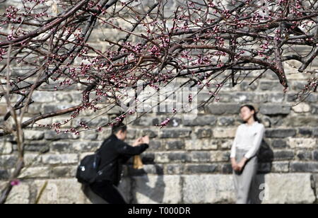 Beijing, China. 16th Mar, 2019. A tourist poses for photos at the Beijing Ming Dynasty (1368-1644) City Wall Relics Park in Beijing, capital of China, March 16, 2019. Credit: Li Xin/Xinhua/Alamy Live News Stock Photo
