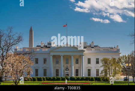 The White House in Wahsington D.C. Stock Photo