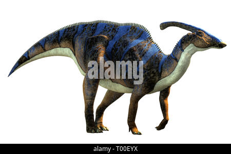 A parasaurolophus, a type of herbivorous ornithopod dinosaur of the hadrosaur family in profile on a white background. This one is brown and blue. Stock Photo