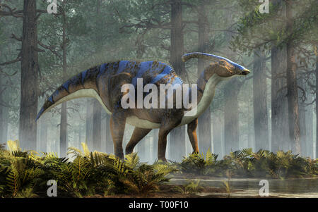 A parasaurolophus, a type of herbivorous ornithopod dinosaur of the hadrosaur family stands in profile in a sun lit forest of fir trees. Stock Photo